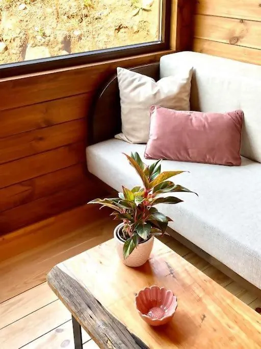 Luxury tent Mountain Eco Shelter 8 Hotel Funchal