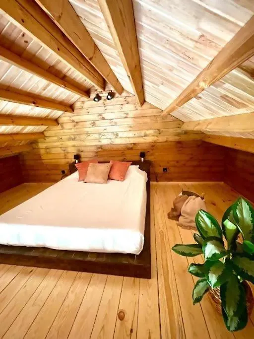 Mountain Eco Shelter 8 Hotel Funchal  Luxury tent